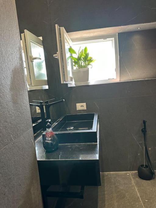 Green Apartment 티라나 외부 사진